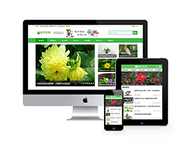 花卉养殖新闻资讯类网站案例(带手机端)
